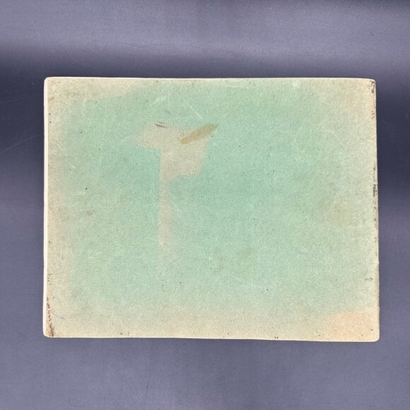 Antique 1905 Santa Catalina Island California Booklet Photographs Black White - Picture 3 of 16